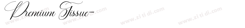 Premium Tissue字体转换